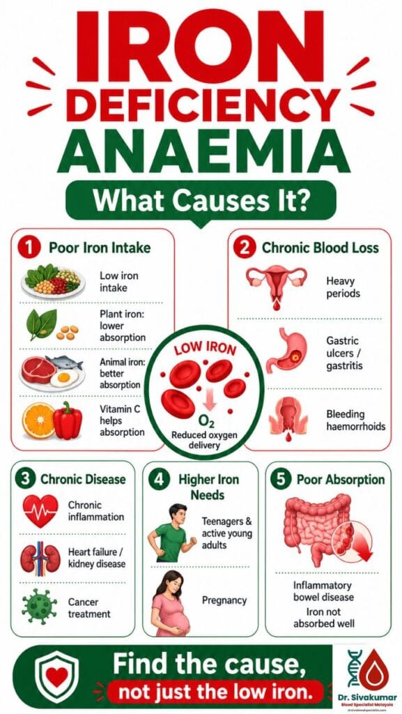 Causes of Iron Deficiency Anaemia